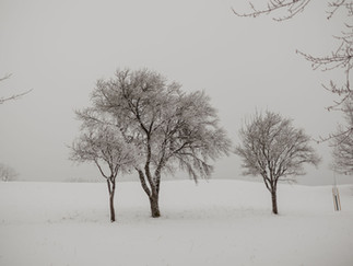 Verschneite Landschaft