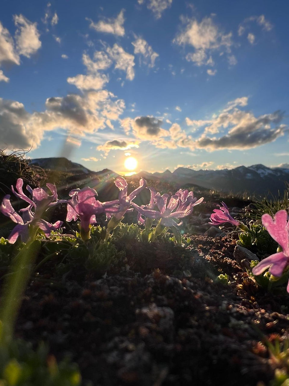 Herbststimmung auf dem WanderRetreat Tirol