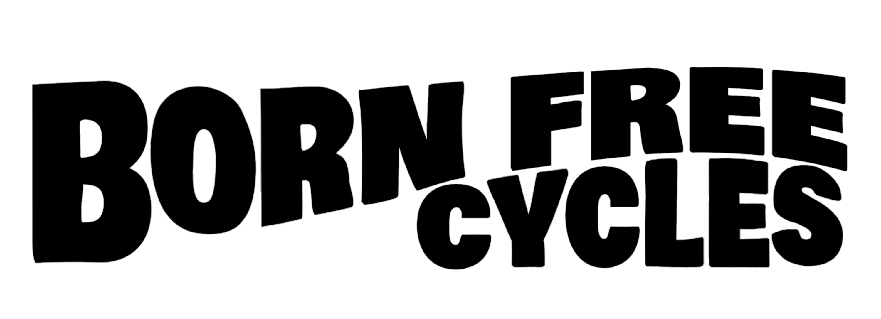 Harley Davidson | Born Free Cycles | Motorcycle Repair | Burbank Harley Davidson | Born Free Cycles | Motorcycle Repair | Burbank