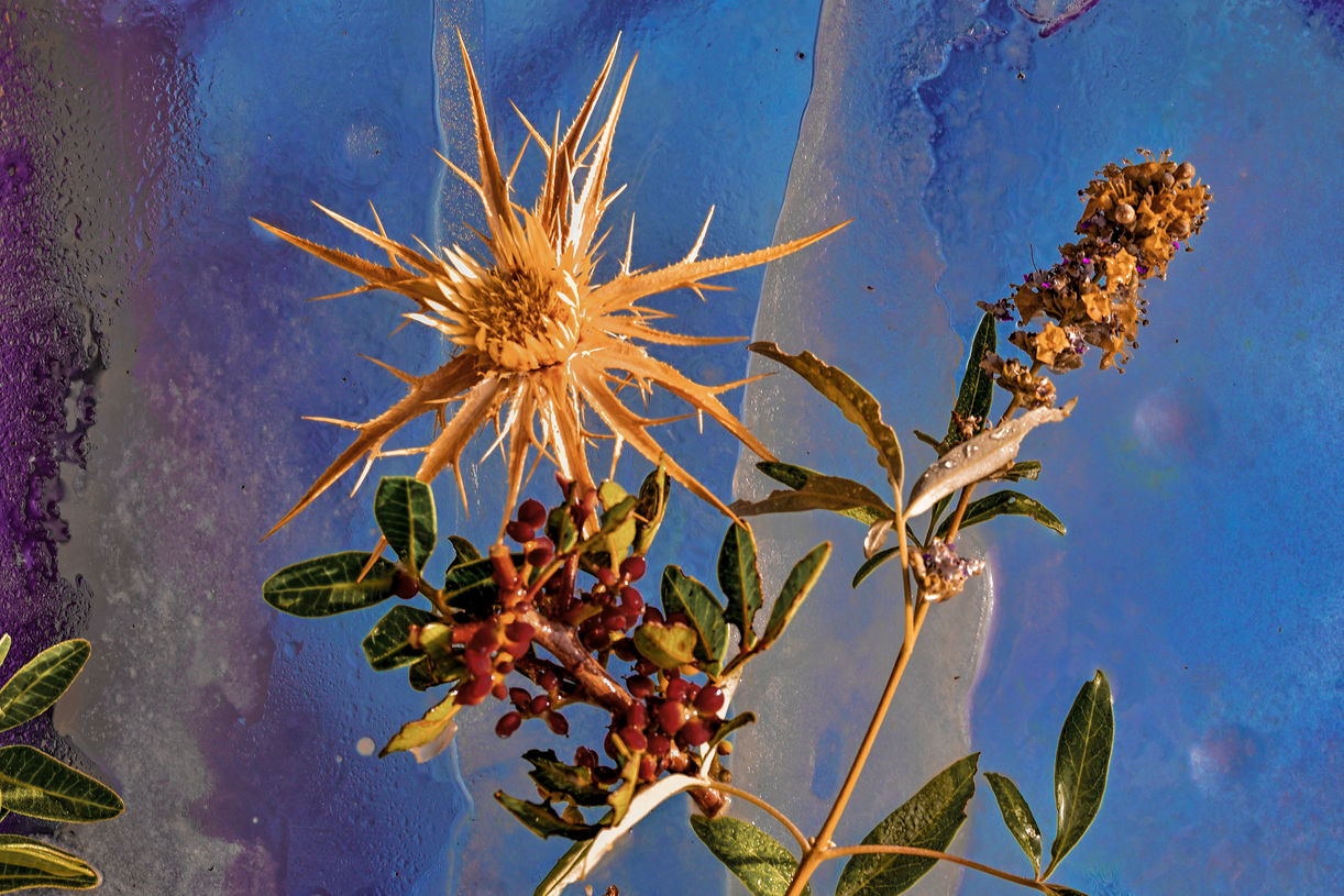 Aegean Summer Iced Ikebana # 2 .jpg