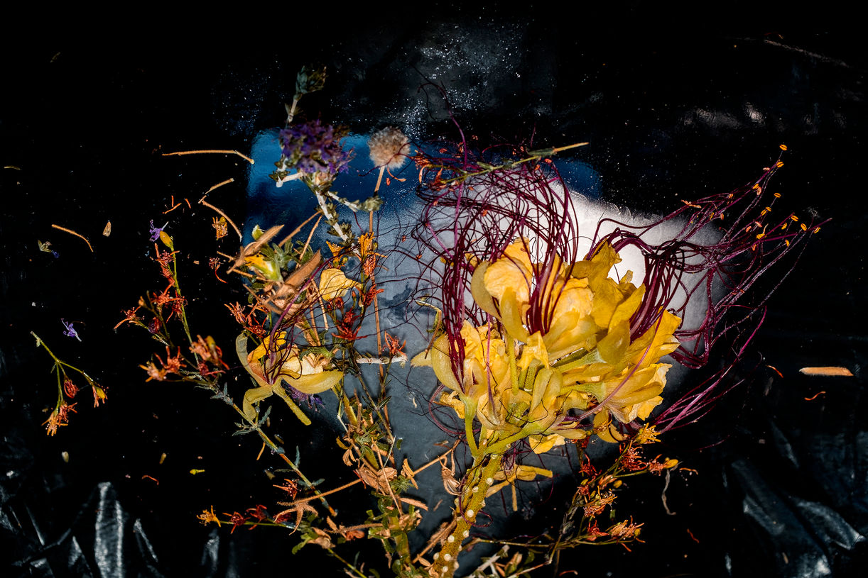 Aegean Ikebana # 9-IMCG3079.jpg