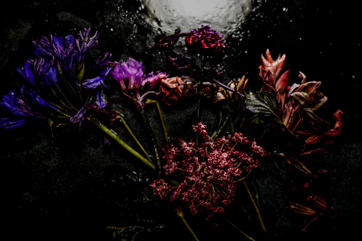South African Summer Iced Ikebana # 7..jpg