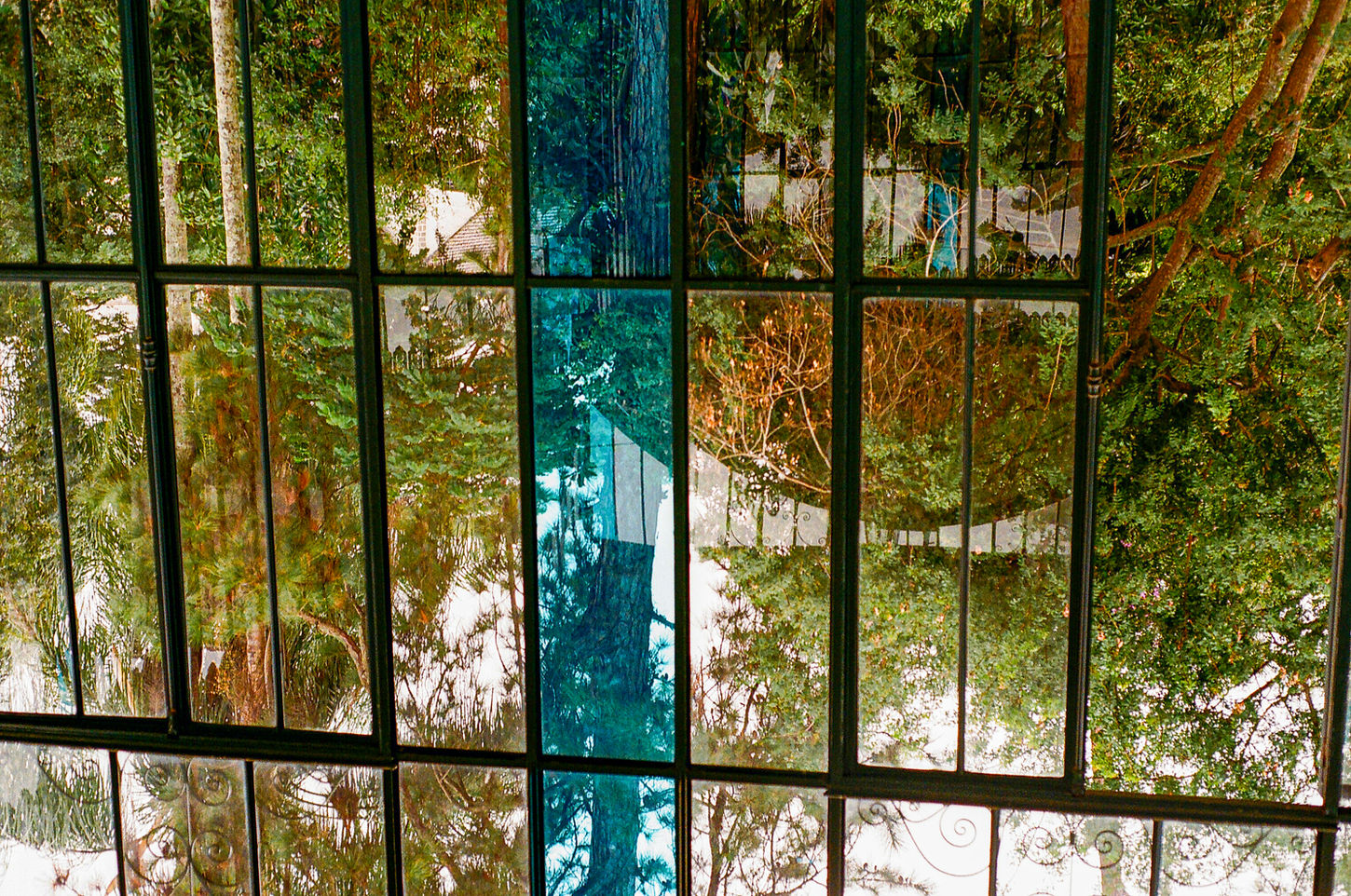 Colour photograph of trees and vegetation seen through gridded glass panels with overlapping reflections and translucent blue vertical bands.