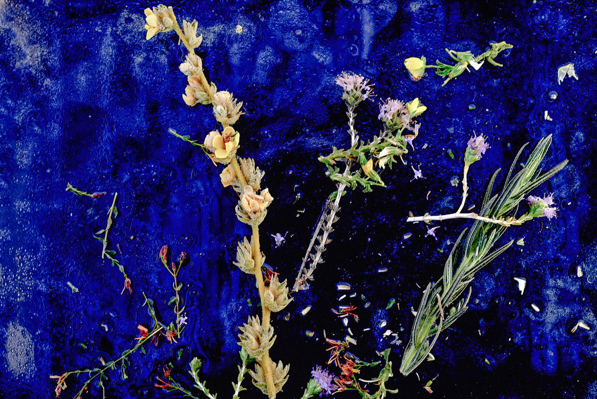 Aegean Summer Iced Ikebana # 3 copia.jpg