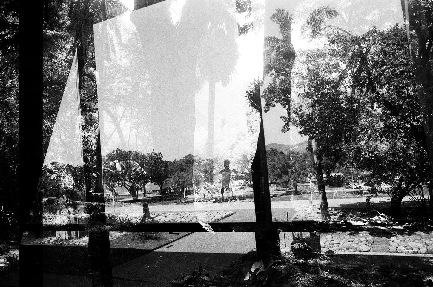 Black-and-white photograph of a tropical garden seen through large reflective glass panels, where trees, architecture and reflections merge into layered geometric forms.
