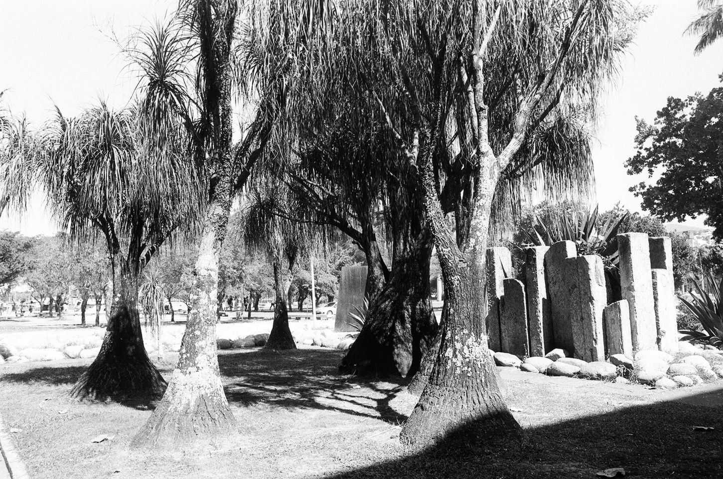 Mature trees standing beside upright stone steles of various sizes in an open landscaped park.