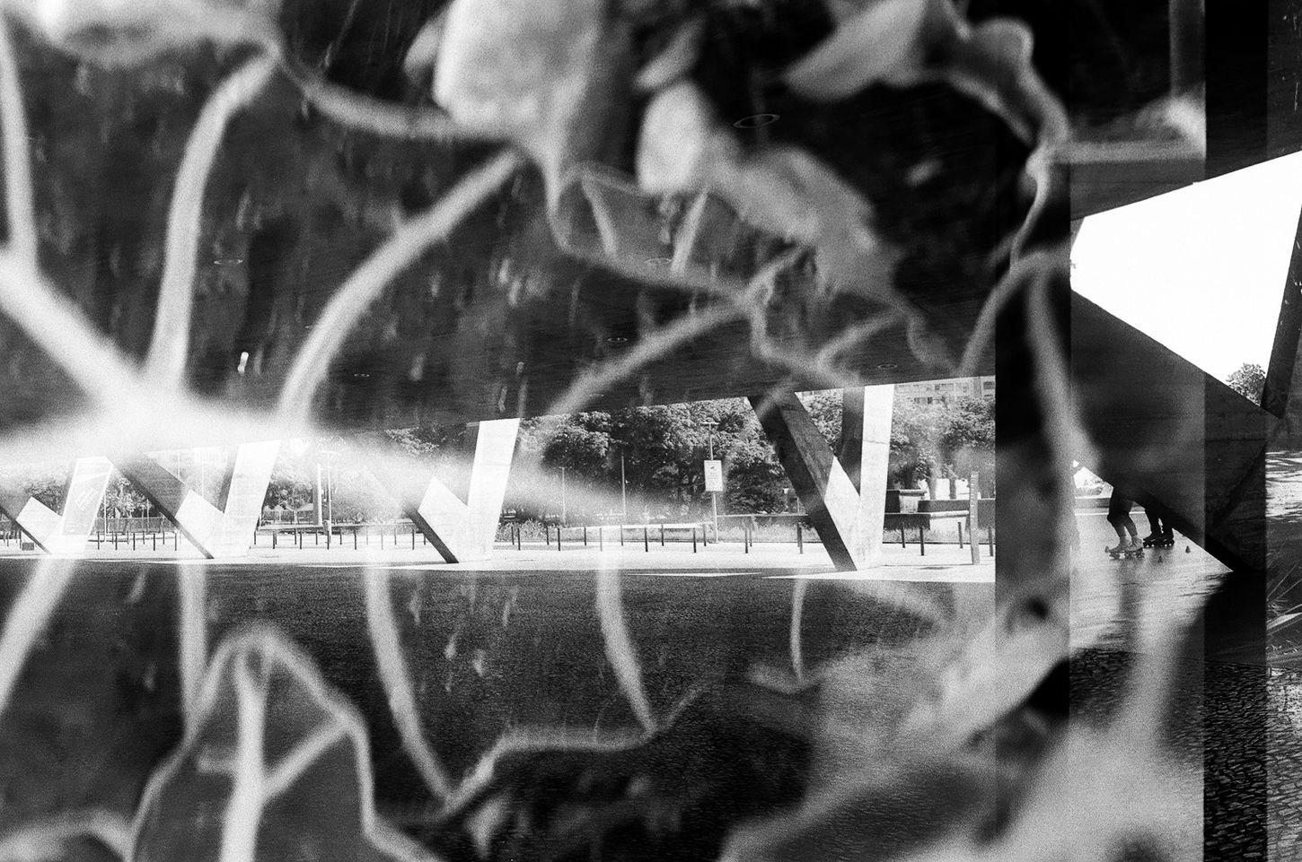 Layered image combining tree branches and vegetation with modern architectural structures and open public space.