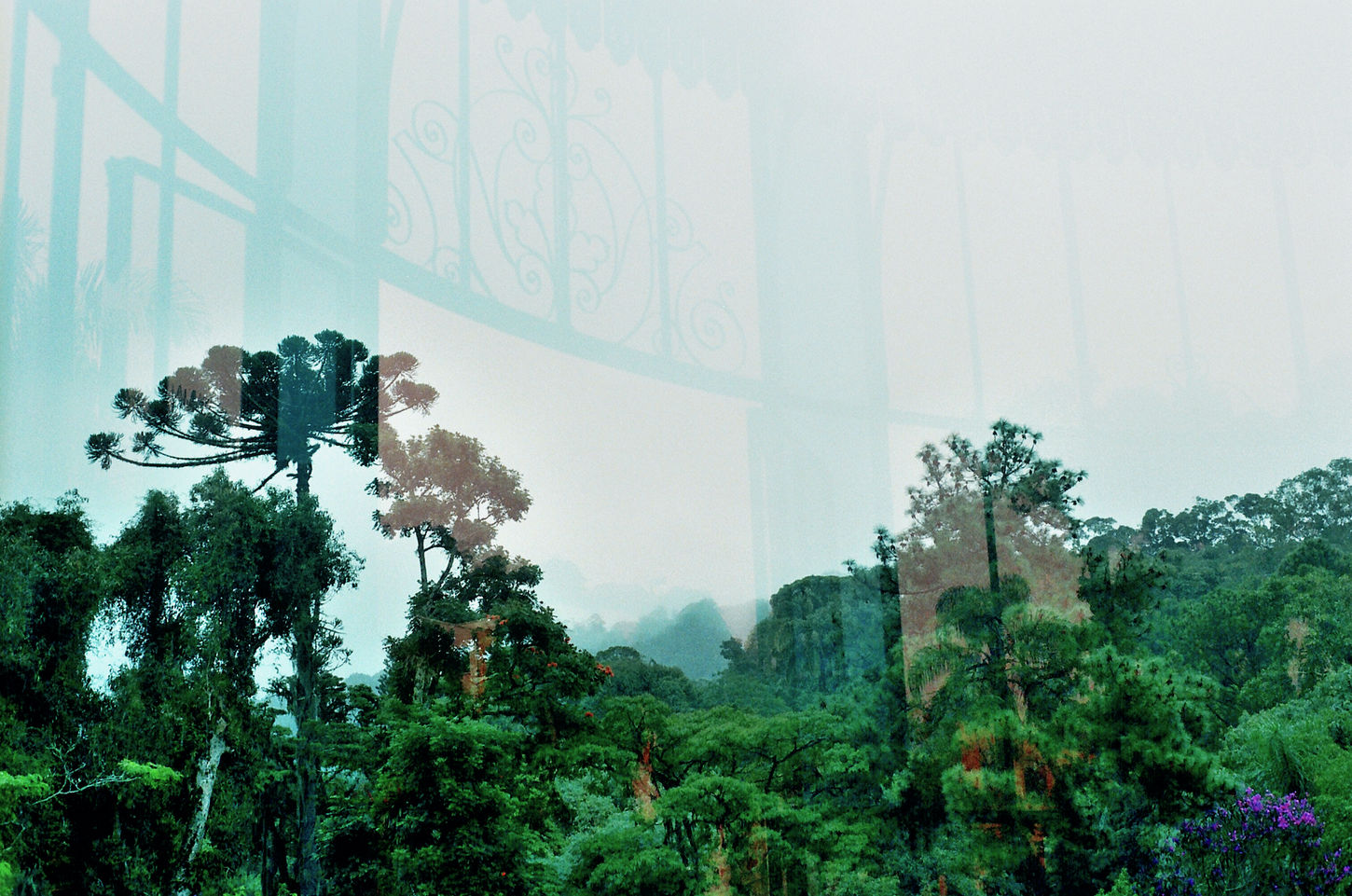 Reflections of interior window frames layered over a forested mountain landscape, merging architecture and vegetation into a single image.