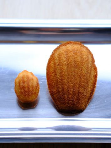 Madeleines artisanales à Toulouse | Bossue
