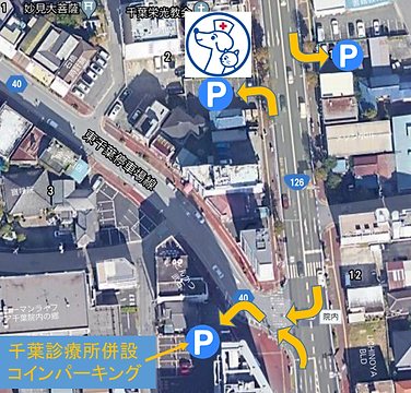 コインパーキング 地図 拡大 ロゴ.PNG