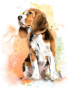 doggy img
