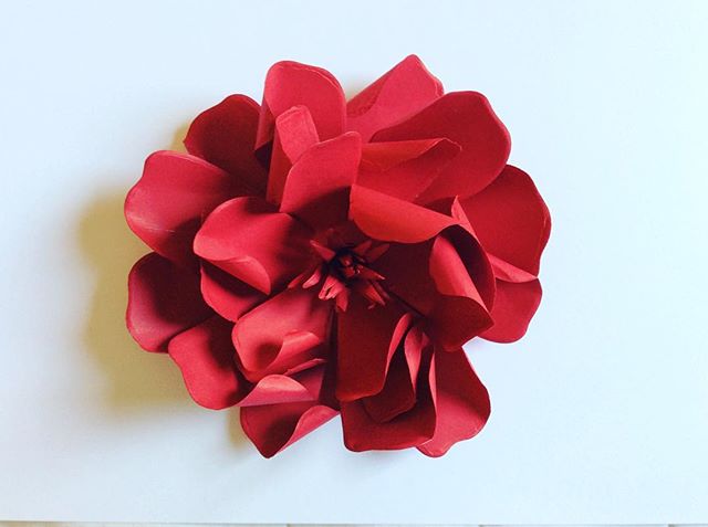 Flor Le Lis Blanc