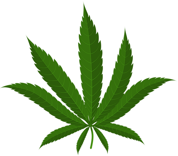 Cannabis_Leaf_PNG_Clipart.png