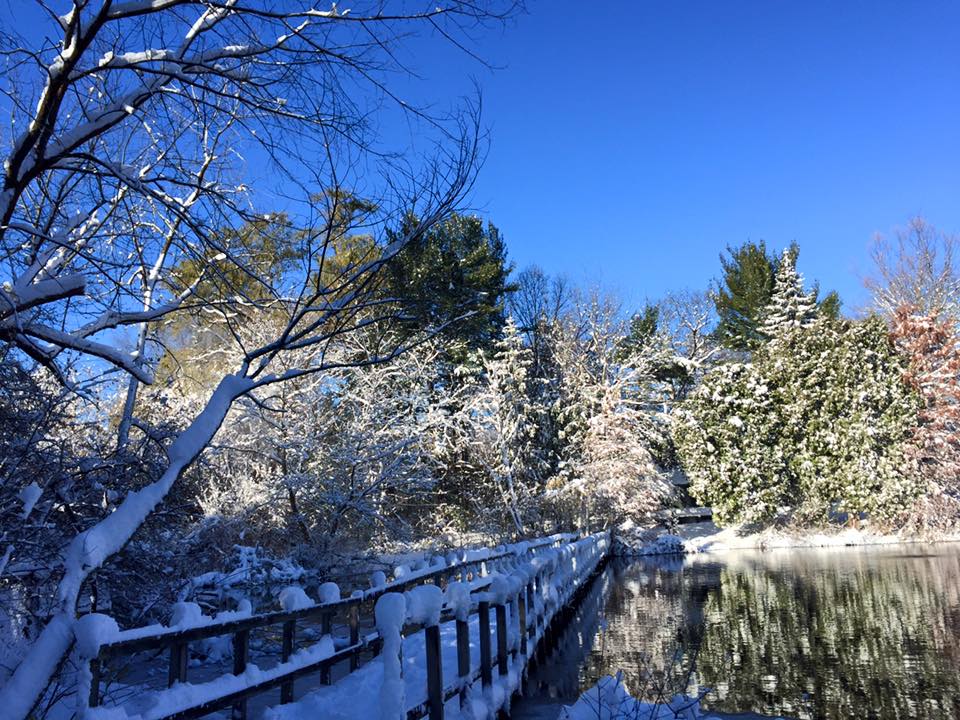 Explore Bloomfield Hills