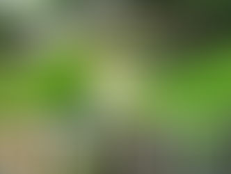 Feature Listing Friday