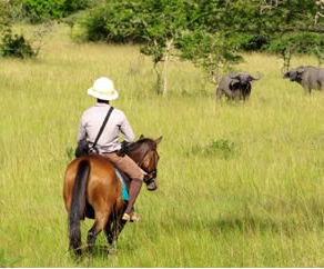 Lake Mburo National Park