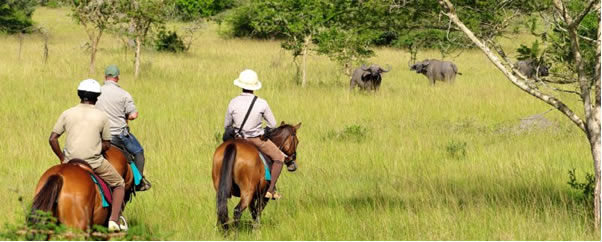 Lake Mburo National Park