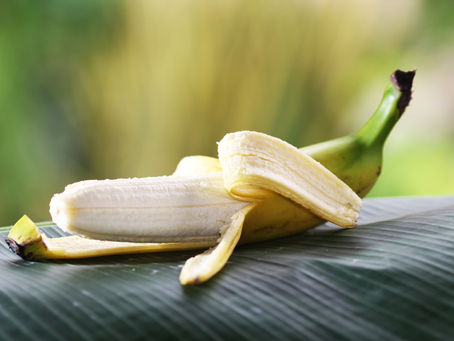 5 remédios naturais para aliviar picadas de insetos