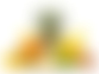 Sucos Frutas causam excesso de frutose no corpo? Só tem frutose no Suco de Frutas coado?