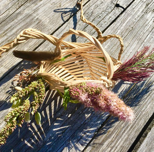 IMG_3053 (modifié).JPG