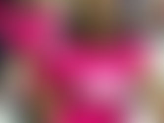 Celebrating our Volunteers on International Volunteer Day