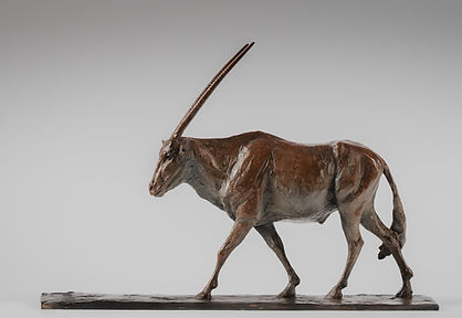 Oryx, 2023
