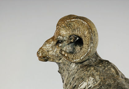 Landing Barn Owl Bronze, Limited Edition of 12