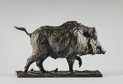 Wild Boar, 2024