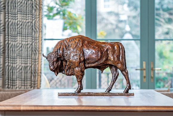 European Bison. Bronze. Limited Edition 9. £10450.JPG