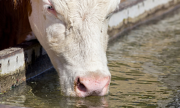 Aprov de Agua.png