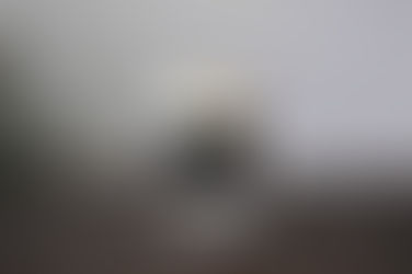 コーヒーゼリー