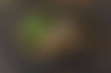 プルドポークとコールスローのサンド