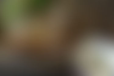 プルドポークとコールスローのサンド