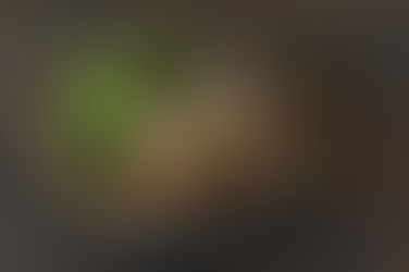 プルドポークとコールスローのサンド