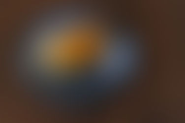 オレンジのタルト