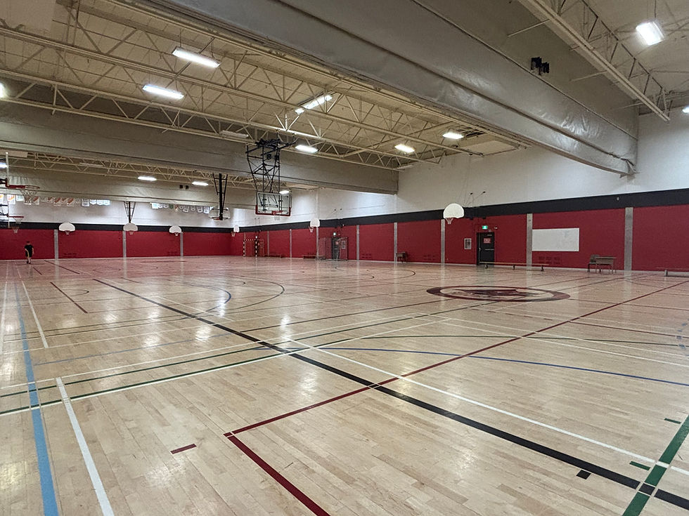 Gymnasium 3