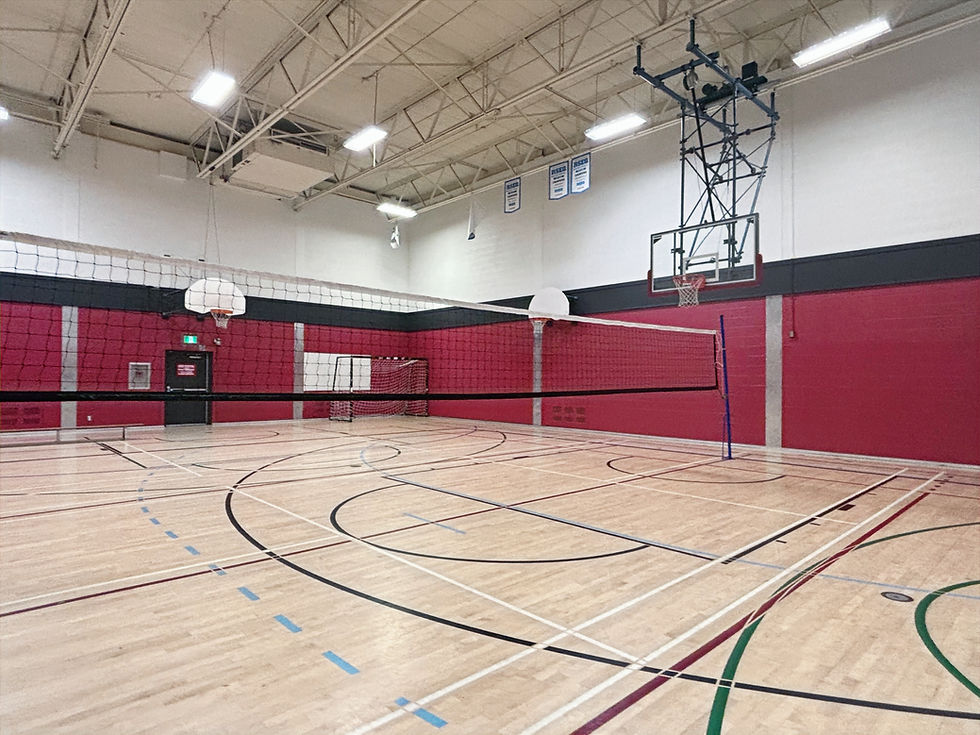 Gym 4