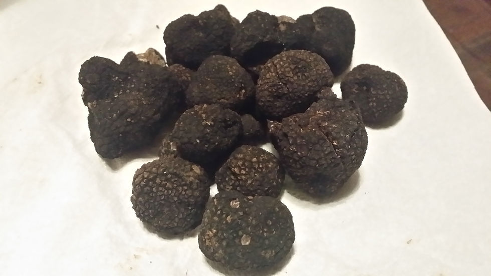 le diamant noir du Périgord