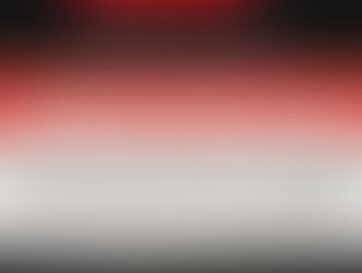 EE. UU prepara incursión...