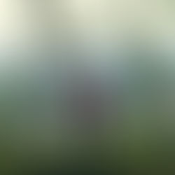 Las Nuevas Generaciones Prefieren Viajar que Estar Atadas a un Trabajo Fijo