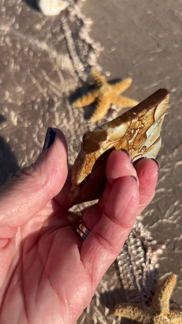 Thumbnail: Polychrome Jasper Slab