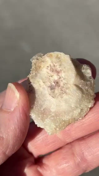 Thumbnail: Apophyllite on Matrix Specimen
