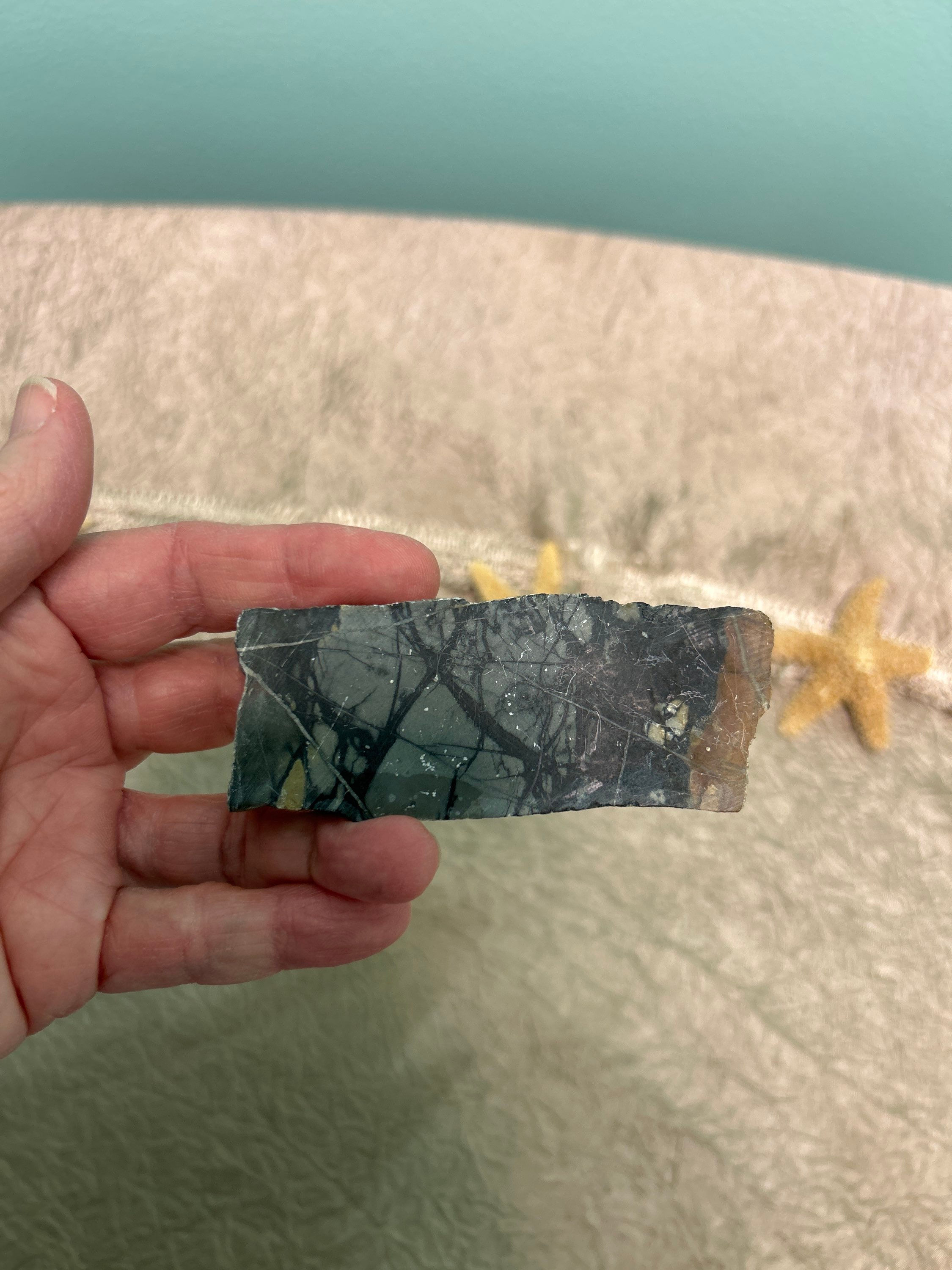 Picasso Jasper Slab