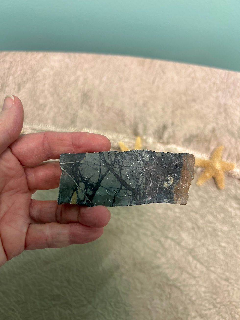 Thumbnail: Picasso Jasper Slab