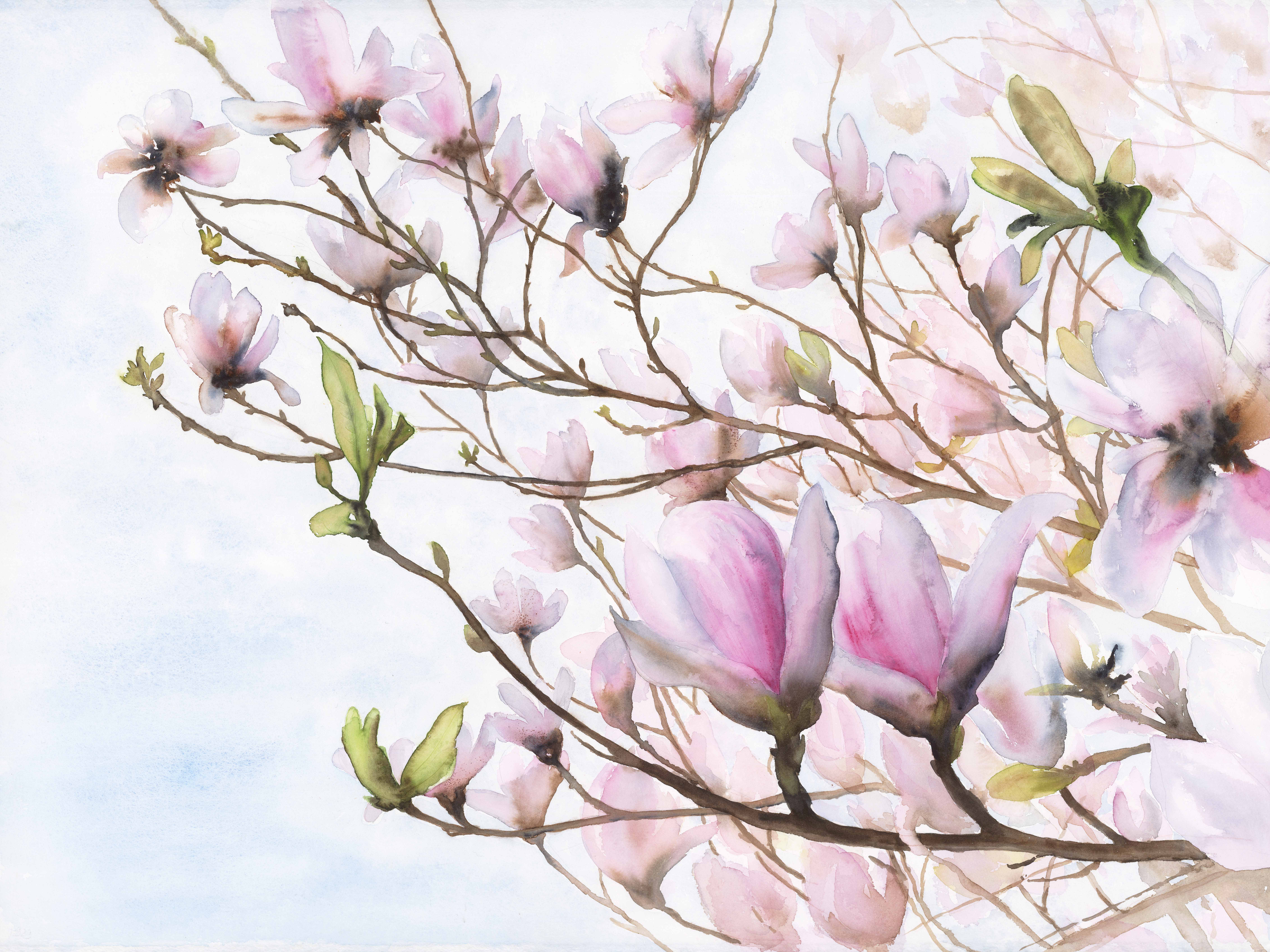 Magnolia Take Flight