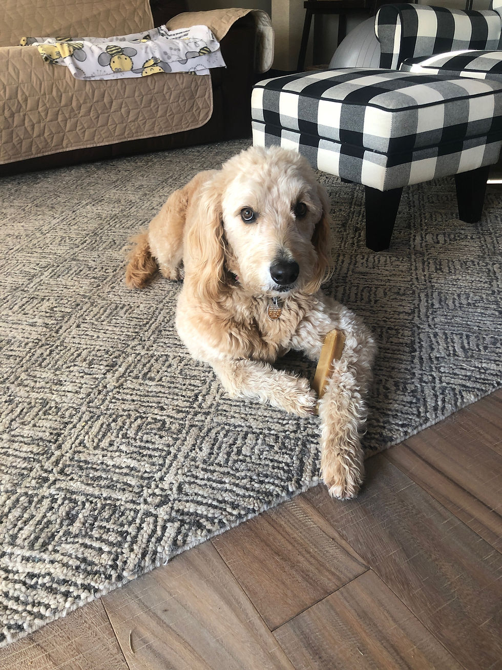 Tucker2
