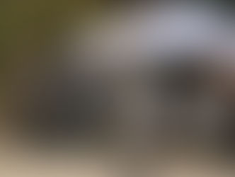 Grosse Beteiligung am Abbalgkurs vom 17. November 2024