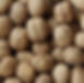 In-Shell Walnuts 1_edited.jpg
