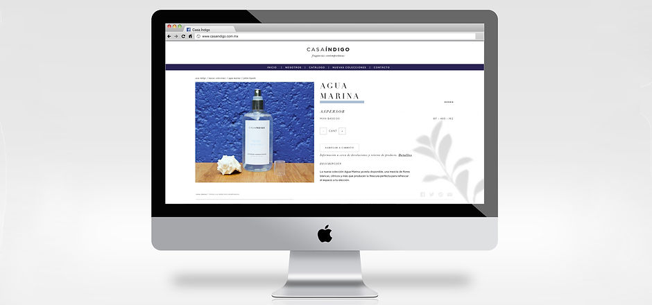 webpage_3.jpg