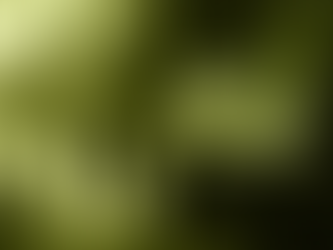 DIPLOMAS SEM CAMPUS: O ENSINO SUPERIOR TRANSFORMADO EM SIMULAÇÃO